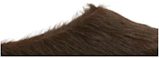 Order Marni Fussbett Sabot 'Cacao' SBMR000600-P4122-00M75