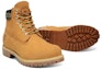 Purchase Mastermind World x Timberland Sepatu 5 Inch Zip 'Wheat' A1TUT231/TB0A1TUT231