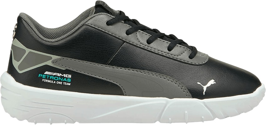 Mercedes amg petronas 2025 kart cat iii