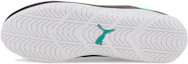 Purchase Mercedes-AMG Petronas F1 x Puma Ridge Cat ''Zwart Smoked Pearl'' 306650-06