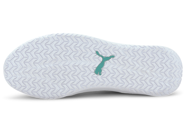 Details for Mercedes-AMG Petronas Motorsport x Puma DC Future ''Schwarz Weiß'' Sneakers 306621-01