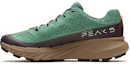 Buy Merrell Agility Peak 5 ''Vert Pin'' J067763