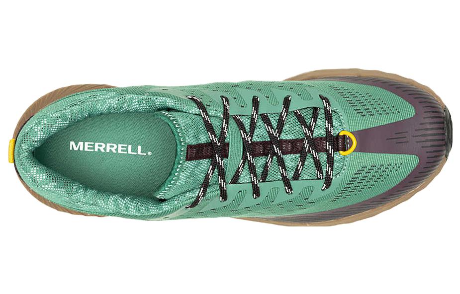 Shop メレル アジリティピーク5 「パイングリーン」 J067763
