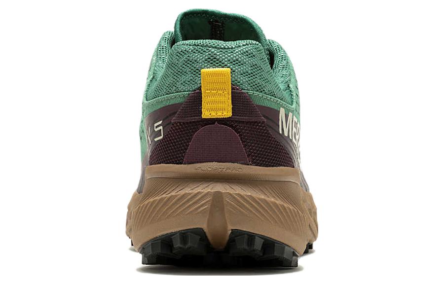 Purchase メレル アジリティピーク5 「パイングリーン」 J067763