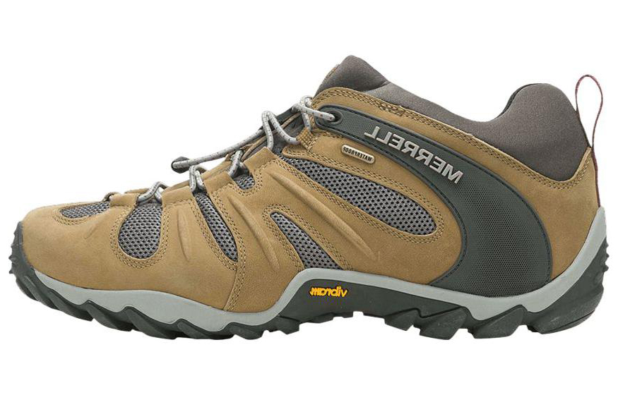 Buy メレル カメレオン8 ストレッチ 防水 (バターナッツ) J500017