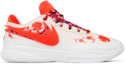 Buy Mimi Plange x Nike LeBron 20 Premium EP ''Ceremony'' Scarpe da Basket. FJ0725-801/FJ0724-801