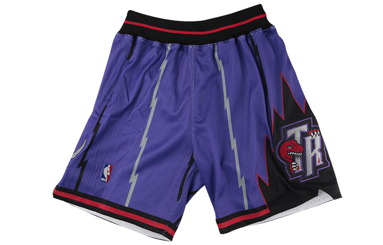 Mitchell Ness Mitchell & Ness Authentic Player Edition Toronto Raptors Retro Shorts Purple 369P-343-98TRP