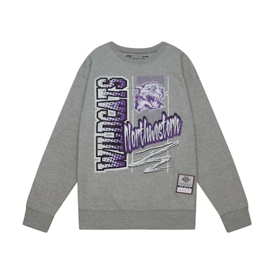 Mitchell Ness Mitchell & Ness Gray Hoodie with Alphabet Animal Print GPOTTP22112-GTWGYHT