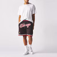 Purchase Mitchell Ness Just Don 10th Anniversary 1996 Chicago Bulls Retro Shorts Hitam SHORMO20260-CBUBKRD96