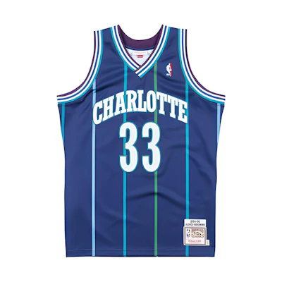 Mitchell Ness Mitchell & Ness NBA 94-95 Hornets Alonzo Mourning #33 Jersey Blue Mens AJY4LG19020-CHODKPR94AMO