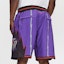 Details for Mitchell Ness Mitchell & Ness Retro Mid-Rise Loose Fit Unisex Basketball Shorts SHORBW18055-TRAPURP