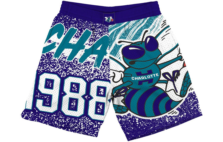 Mitchell Ness NBA Charlotte Hornets Retro Mesh Basketball Shorts - Purple. SHORAJ19071-CHODKPR