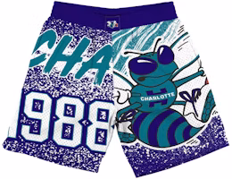 Mitchell Ness NBA Charlotte Hornets Retro Mesh Basketball Shorts - Purple. SHORAJ19071-CHODKPR Mitchell Ness NBA Charlotte Hornets Retro Mesh Basketball Shorts - Purple. SHORAJ19071-CHODKPR