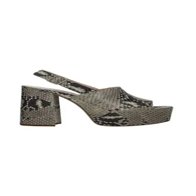 MIU MIU Pre 'Grey'