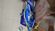 Buy Mizuno 'Custom Japan Sprints Track Spike' 6907579572881