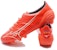 Mizuno Alpha Elite FG P1GA2362-64 'Fiery Coral Putih' P1GA236264