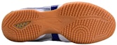 Purchase Mizuno Crossmatch Plio RX4 'Putih Biru' 81GA183014