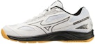 Buy Mizuno Cyclone Speed 4 'Keselesaan Serbaguna Hitam dan Putih' V1GA238054