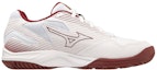 Order Mizuno Cyclone Speed 4 ''Wit Cabernet'' V1GA238045