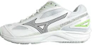 Buy Mizuno Cyclone Speed 4 ''Weiß Grün Grau'' X1GC230735