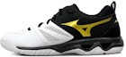 Buy Mizuno Dynablitz Low 'Black White Gold' V1GA212152