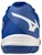 Mizuno Gate Sky Plus 3 Wide 'Surf the Web' Lelaki Kasut Sukan 71GA234026