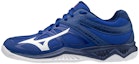 Buy Mizuno Lightning Star Z5 'Biru' V1GD190320