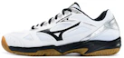 Buy Mizuno Male Sky Blaster Badminton shoes 'White Black' 71GA194510