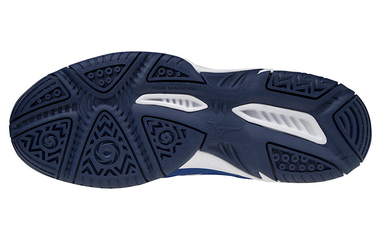 Purchase Mizuno Mizino Cyclone Speed 2 'Biru Bola Tampar' V1GD191020