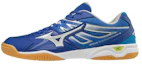 Buy 미즈노 웨이브 카이저버그 4 '블루 탁구' (Mizuno Wave Kaiserburg 4 'Blue Takgu') 81GA182003
