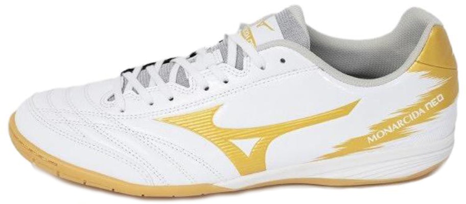 Mizuno monarcida outlet indoor