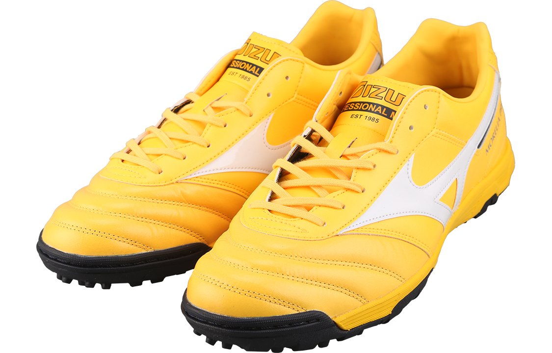 Shop Mizuno Morelia 2 Pro AS Sepatu Bola P1GD221401
