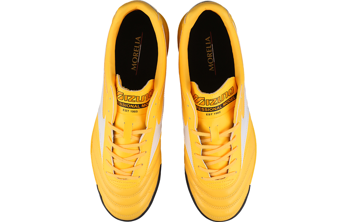 Purchase Mizuno Morelia 2 Pro AS Sepatu Bola P1GD221401