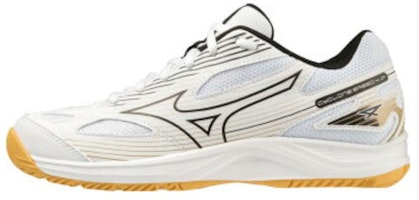 Mizuno Running Shoes Low 'White Black' V1GD231054 Mizuno Running Shoes Low 'White Black' V1GD231054