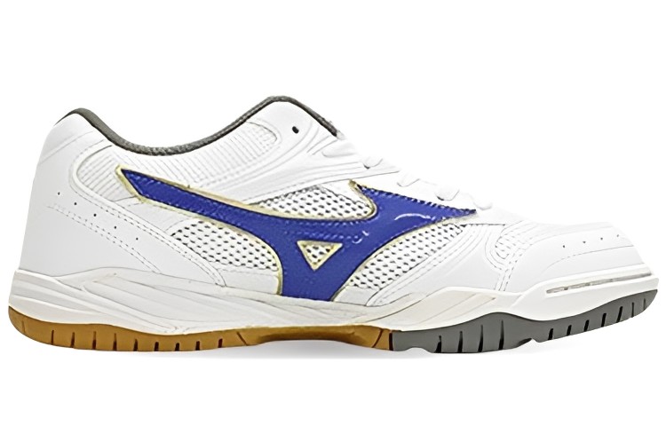 Order Mizuno School Indoor 'White Blue' 29KV13027