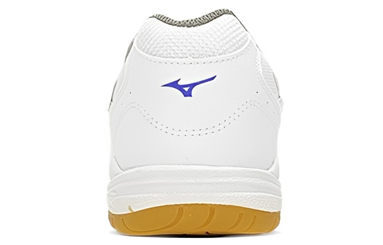 Shop Mizuno School Indoor 'White Blue' 29KV13027