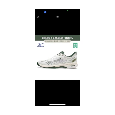 Mizuno Tennis Shoes 'Mesh'