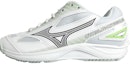 Buy Mizuno Cyclone Speed 4 'Putih Hijau Kelabu' X1GC230735