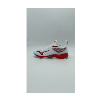 Mizuno Volleyball Shoes 'Indoor Court'