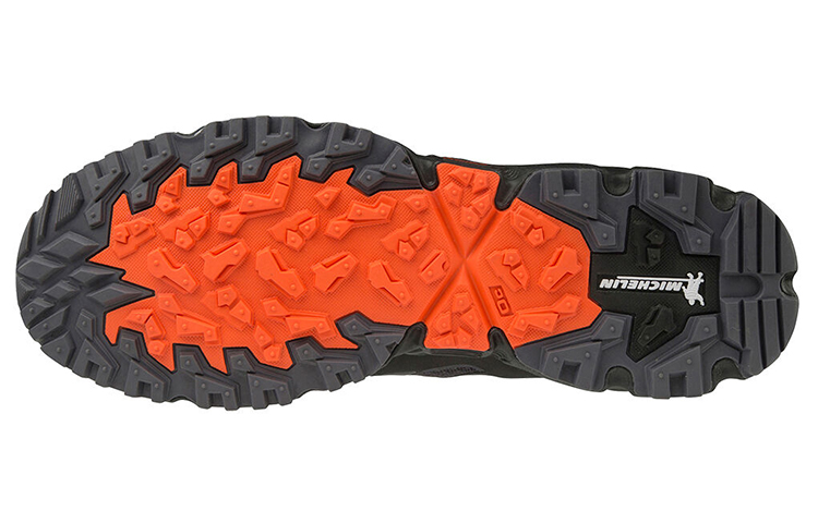 Purchase Mizuno Wave Daichi 5 GTX ''Zwart Trail'' J1GJ205636
