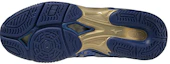 Purchase Mizuno Wave Divers LG3 Édition Limitée K1GF217514