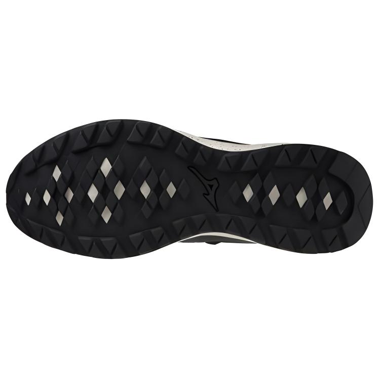 Purchase 美津濃 Wave Evoke GTX 減震耐磨 低筒 跑步鞋 男款 黑色