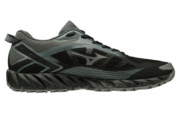 Order Mizuno Wave Ibuki 2 GTX 'Black' J1GJ195934
