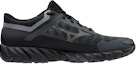Order Mizuno Wave Ibuki 3 Gtx J1GJ205949