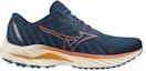 Order Mizuno Wave Inspire 19 'Biru Opal Tigerlily' J1GC234455