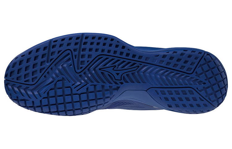 Shop Mizuno Wave Intense Tour 5 AC 'Blue White' 61GA190001