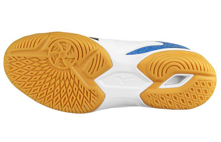 Shop Mizuno Wave Kaiserburg 4 乒乓球鞋 男女皆適 黑白藍