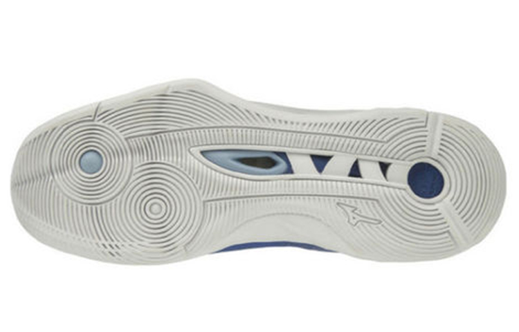 Shop Mizuno Wave Momentum 2 'Blue' V1GA191206