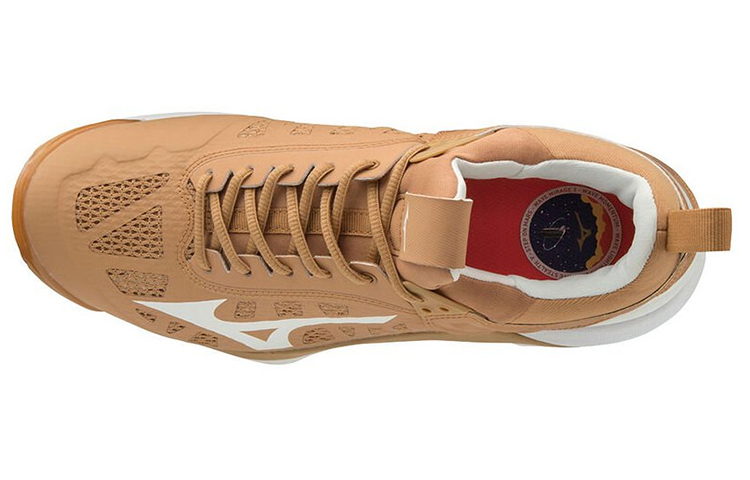 Lookbook Mizuno Wave Momentum 2 'Marrón Voleibol' V1GA191296