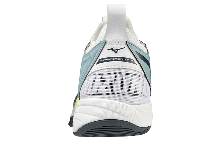 Shop Mizuno Wave Momentum 2 'Grey' V1GA211238